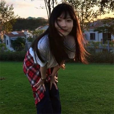 狐狸之声国语